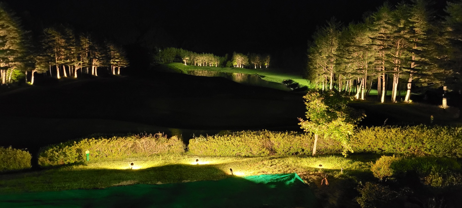Landscape Lighting